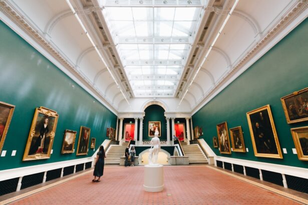 Museum Culture and Public Curiosity