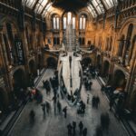 Science Museums Oxford and Public Learning
