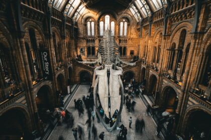 Science Museums Oxford and Public Learning