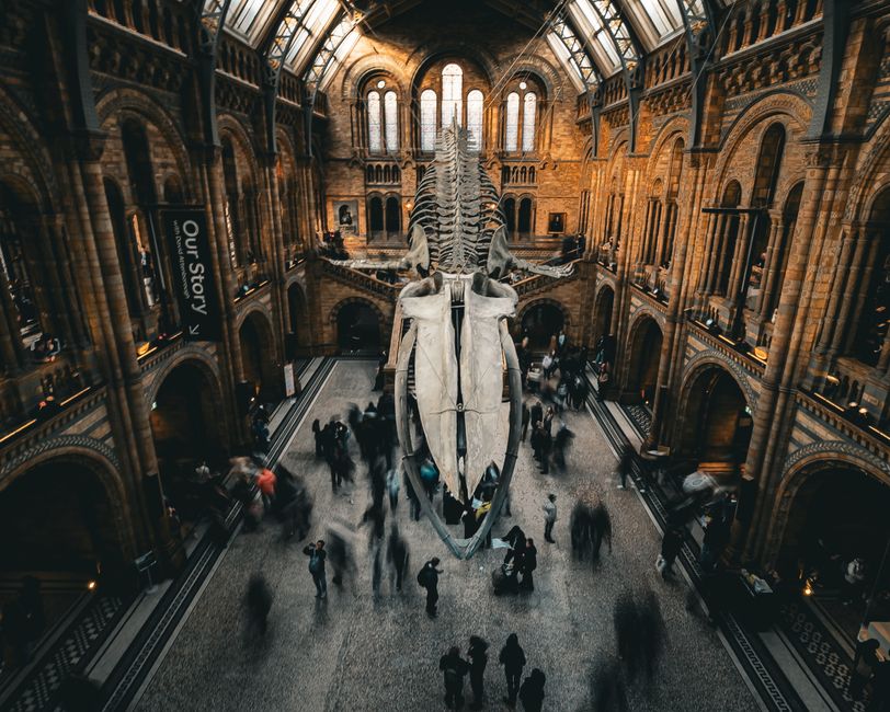 Science Museums Oxford and Public Learning