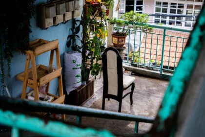 Why Small Urban Gardens Matter