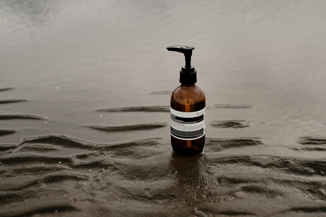 Everyday Aesthetics: Why Ordinary Things Catch the Eye