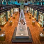 University Museums Do More Than Display Objects