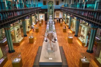 University Museums Do More Than Display Objects