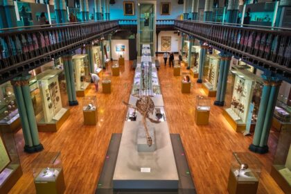 University Museums Do More Than Display Objects