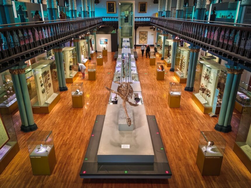 University Museums Do More Than Display Objects