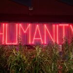 What Are the Humanities For Now?