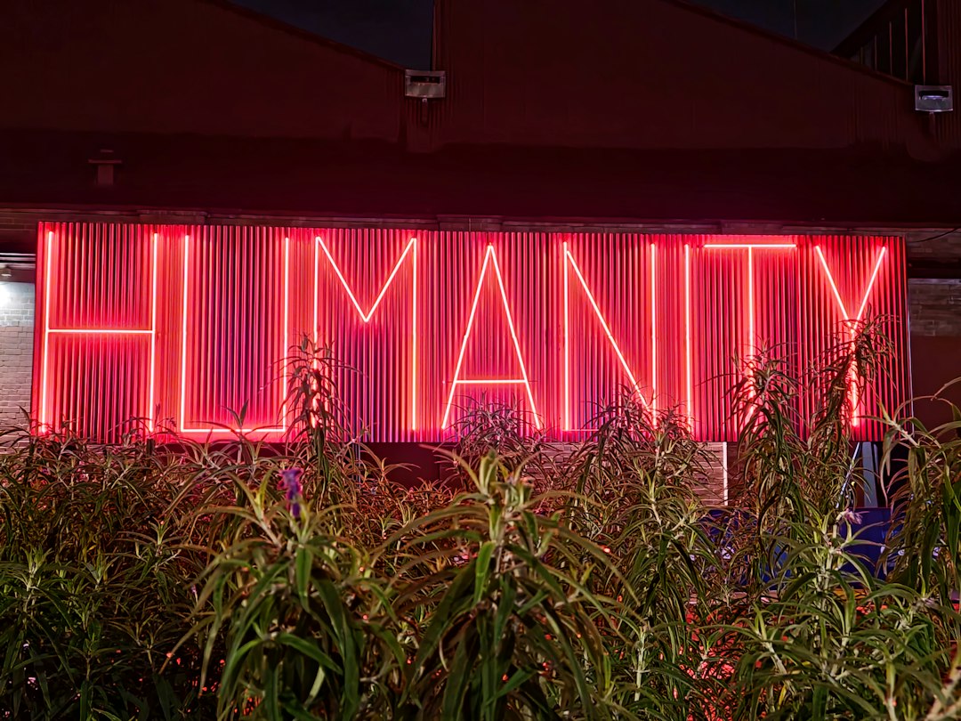 What Are the Humanities For Now?
